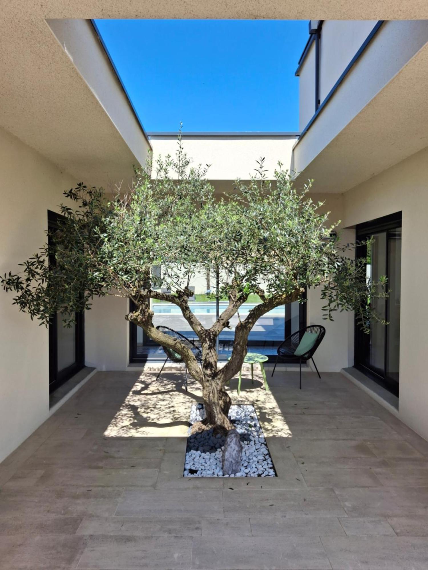 Location Moderne Piscine Villa Mâcon